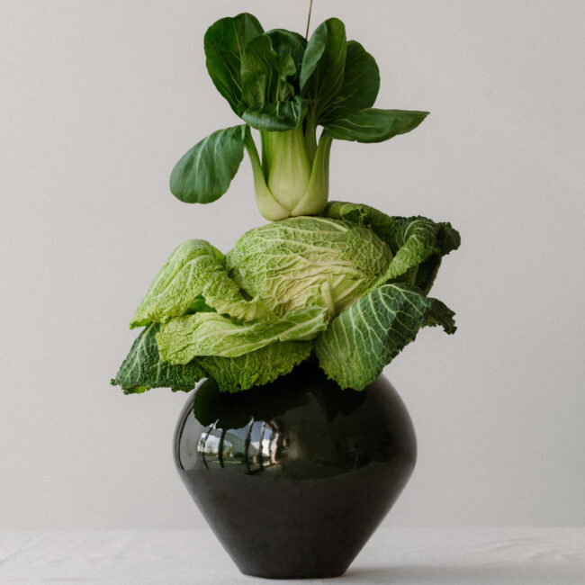 Ein Salatkopf in einer Vase